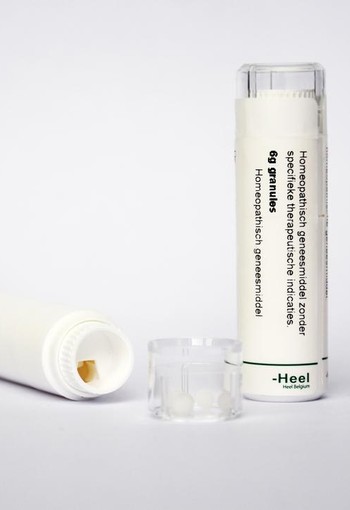 Homeoden Heel Ascorbicum acidum D30 (6 Gram)