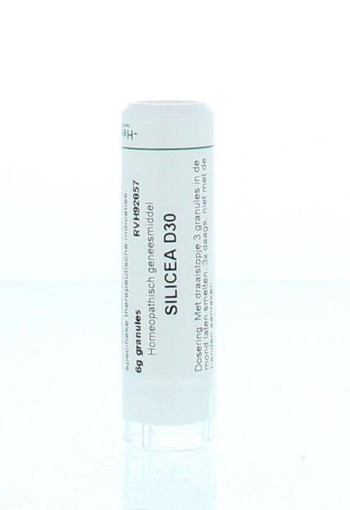 Homeoden Heel Silicea D30 (6 Gram)