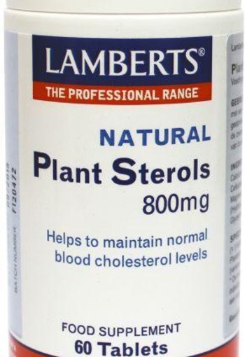 Lamberts Plant sterolen 800mg (60 Tabletten)