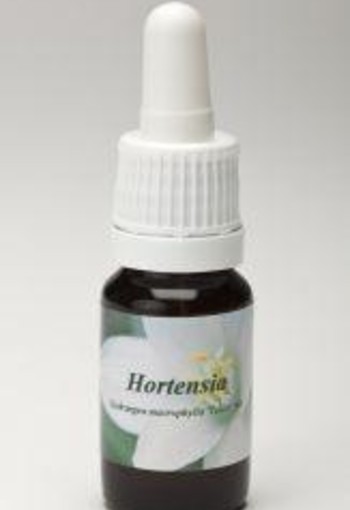 Star Remedies Hortensia (10 Milliliter)